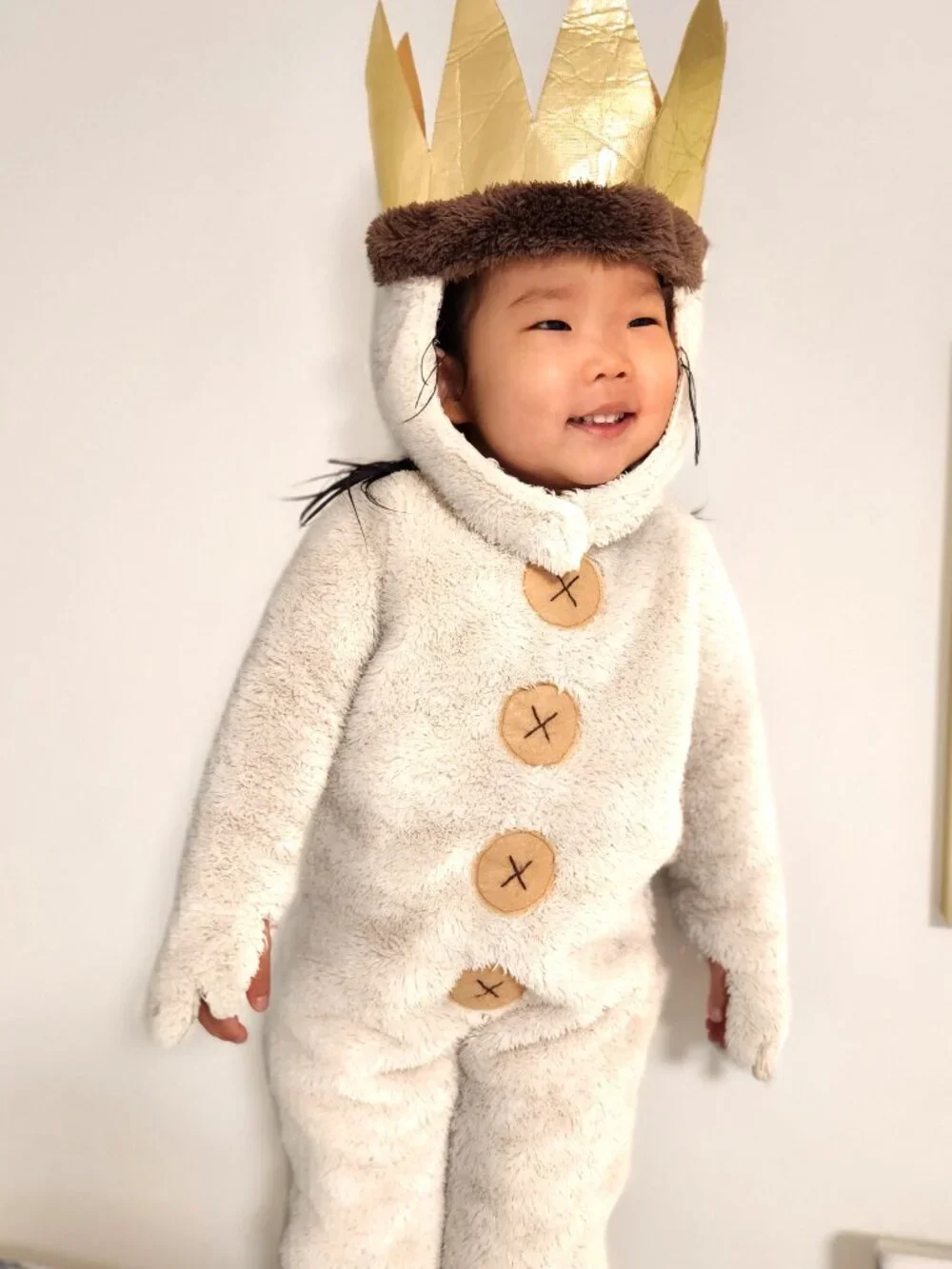 Where The Wild Things Are Max Costume Pottery Barn Kids - 2T Excellent Condition